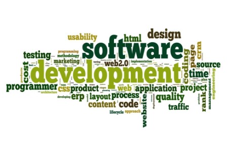 Software development